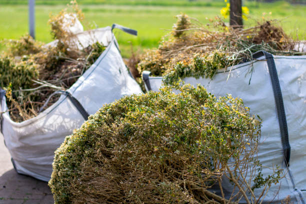 Best Furniture Removal  in Valley Falls, RI